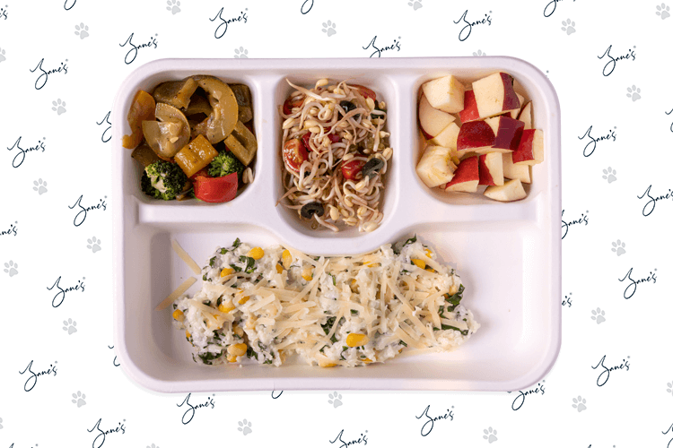 WEDNESDAY - VEG - LARGE (1)